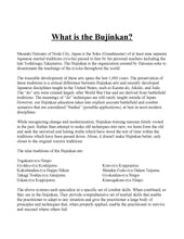 Student Handbook for Bujinkan Budo Taijutsu (version 2)