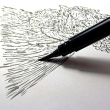 Pentel Arts Pocket Brush Pen, Includes 2 Black Ink Refills