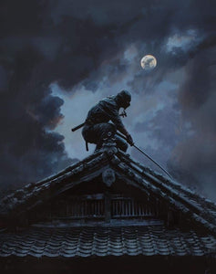 Shinobi-Iri: The Ancient Art of Silent Entry and Movement by Dai-Shihan Jason Steeves