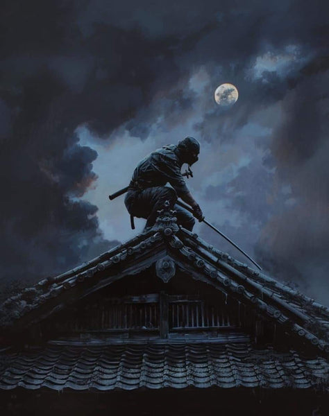 Shinobi-Iri: The Ancient Art of Silent Entry and Movement by Dai-Shihan Jason Steeves