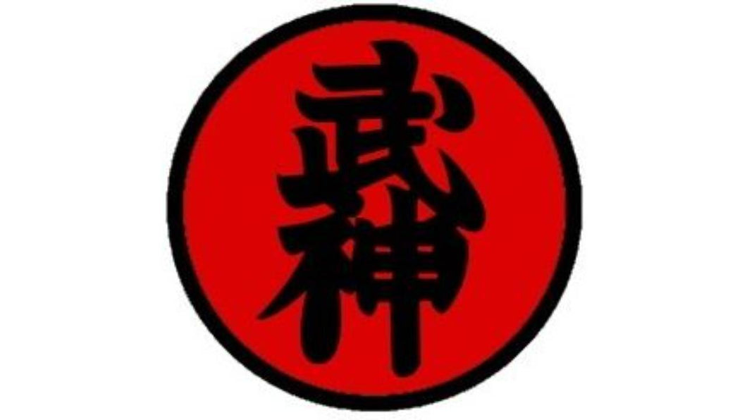 Total Force: 3rd Dan Ninjutsu Program