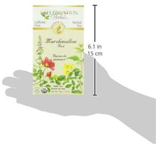 Marshmallow Root Tea Organic