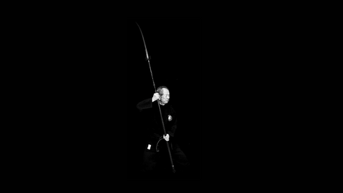 Naginatajutsu (薙刀術) - The Art of The Glaive