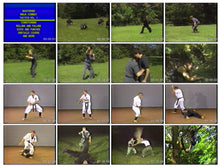 Ninjutsu Training Series (Ninjutsu Master Robert Bussey) Media 2 of 2
