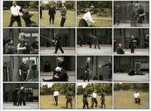 Bujinkan Taka-Seigi Dojo - Japan 1997 Training