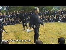 Doron Navon, Masaaki Hatsumi - defence techniques kick