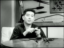 Ninjutsu Senichiya - Masaaki Hatsumi