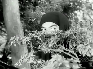 Ninjutsu Senichiya - Masaaki Hatsumi