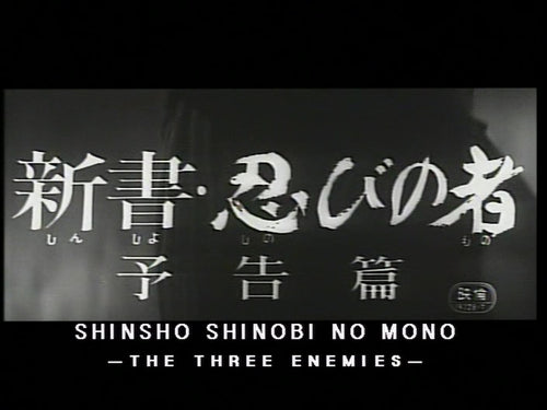 Shinobi no Mono Ninja #8 - The Three Enemies