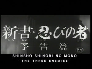 Shinobi no Mono Ninja #8 - The Three Enemies