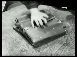 Ninjutsu Senichiya - Masaaki Hatsumi