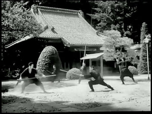 Ninjutsu Senichiya - Masaaki Hatsumi