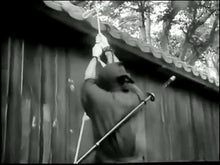 Ninjutsu Senichiya - Masaaki Hatsumi