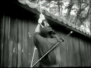 Ninjutsu Senichiya - Masaaki Hatsumi
