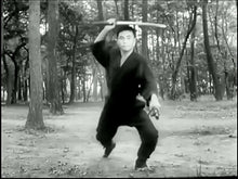 Ninjutsu Senichiya - Masaaki Hatsumi
