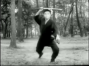 Ninjutsu Senichiya - Masaaki Hatsumi